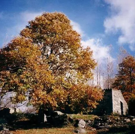 Casa Candi Holiday home